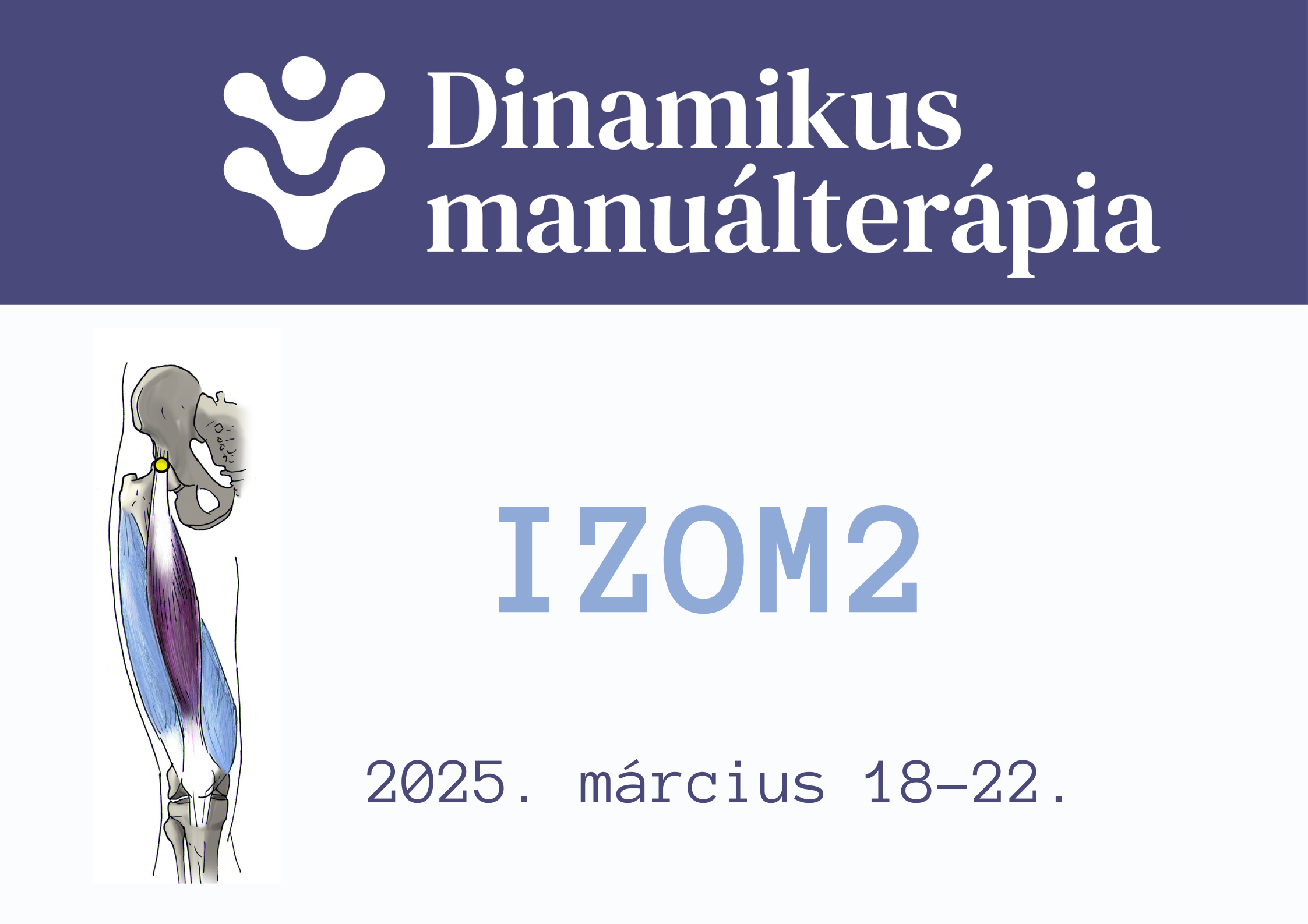 dinamikusmanualterapia-izom2-2025marc